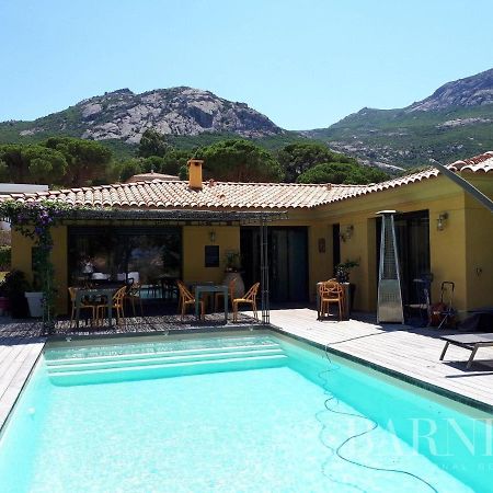 Villa Alivu Di Calvi Calvi  Exterior foto