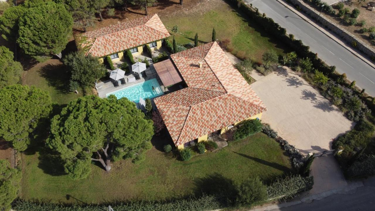 Villa Alivu Di Calvi Calvi  Exterior foto